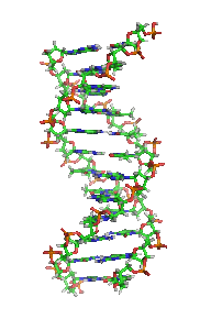 DNA and genetic alphabet expansion