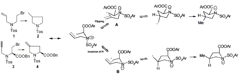 Publication image: Basak, Amit; Bag, Subhendu Sekhar; Rudra, Kakali Rani; Barman, Jharna and Dutta, Sumana. Diastereoselective synthesis of 4-substituted L-prolines by intramolecular radical cyclization of N-aryl sulphonyl-N-allyl 3-bromoalanines: interesting dependence of selectivity on the nature of sulphonamido groups. Chem. Lett. 31, 2002, 710-711