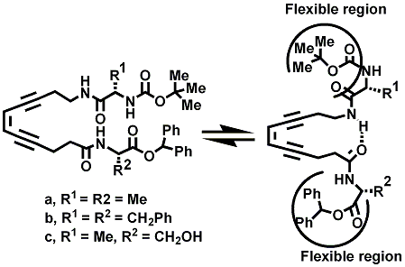 Publication image: Basak, Amit; Rudra, Kakali Rani; Bag, Subhendu Sekhar and Basak, Ajoy. Synthesis, reactivity and conformational preferences of novel enediynyl peptides: a possible scaffold for β-sheet capping turns. J. Chem. Soc., Perkin Trans. 1, 15, 2002, 1805-1809