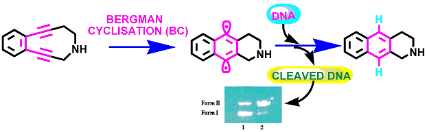Publication image: Basak, Amit; Mandal, Subrata and Bag, Subhendu Sekhar. Chelation-controlled Bergman cyclization: synthesis and reactivity of enediynyl ligands. Chem. Rev. 103, 2003, 4077-4094