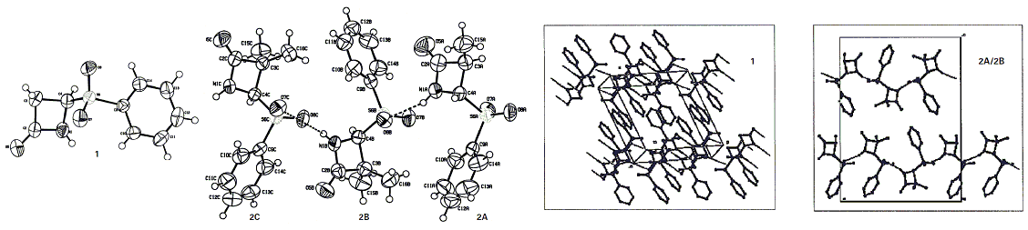 Publication image: Basak, Amit; Bag, Subhendu Sekhar; Mazumdar, Pooja Anjali; Bertolasi, Valerio and Das, Amit Kumar. Molecular recognition in β-lactams: the crystal packing in 4-sulfonyl β-lactams. J. Chem. Res. 2004, 2004, 318-321