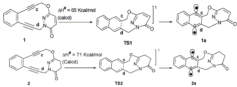 Publication image: Basak, Amit; Bag, Subhendu Sekhar; Majumder, Pooja Anjali; Das, Amit Kumar and Bertolasi, Valerio. Effect of remote trigonal carbons on the kinetics of Bergman cyclization: Synthesis and chemical reactivity of pyridazinedione-based enediynes. J. Org. Chem. 69, 2004, 6927-6930