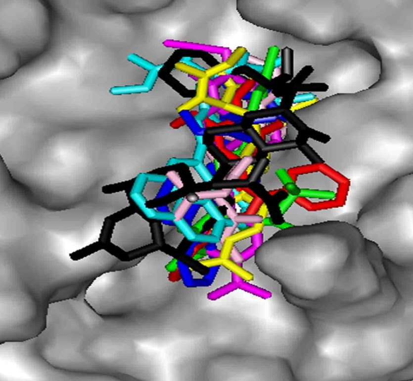 Publication image: Raturi, Vimee; Abhishek, Kumar; Jana, Subhashis; Bag,* Subhendu Sekhar and Trivedi, Vishal. Virtual Screening, Molecular Modelling and Biochemical Studies to Exploit PF14_0660 as a Target to Identify Novel Anti-malarials. Lett. Drug Des. Discov. 16, 2019, 417-426