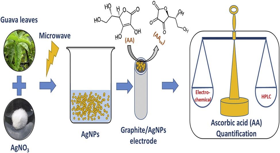 Publication image: Dash, Smruti Ranjan; Bag,* Subhendu Sekhar and Golder, Animes Kumar. Synergized AgNPs formation using microwave in a bio-mediated route: Studies on particle aggregation and electrocatalytic sensing of ascorbic acid from biological entities. J. Electroanal. Chem. 827, 2018, 181-192