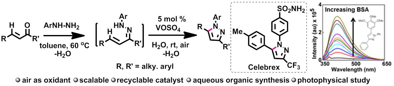Publication image: Sar, Dinabandhu; Bag, Raghunath; Yashmeen, Afsana; Bag,* Subhendu Sekhar and Punniyamurthy, Tharmalingam. Synthesis of functionalized pyrazoles via vanadium-catalyzed C–N dehydrogenative cross-coupling and fluorescence switch-on sensing of BSA protein. Org. Lett. 17, 2015, 5308-5311