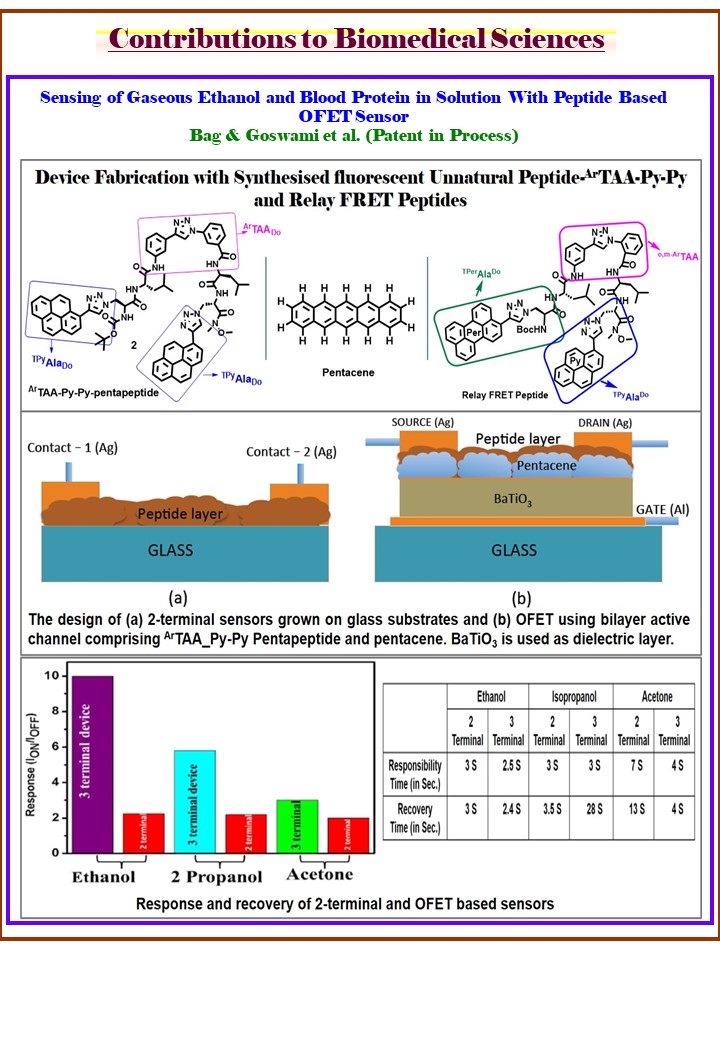 Research graphical abstract 16; click to rotate