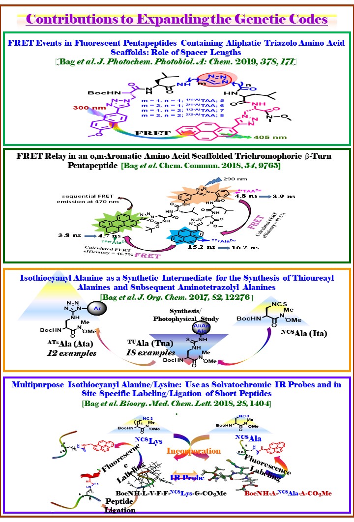 Publication image: Bag,* Subhendu Sekhar and Yashmeen, Afsana. FRET events in fluorescent pentapeptides containing aliphatic triazolo amino acid scaffolds: Role of spacer lengths. J. Photochem. Photobiol. A: Chemistry 378, 2019, 171-183