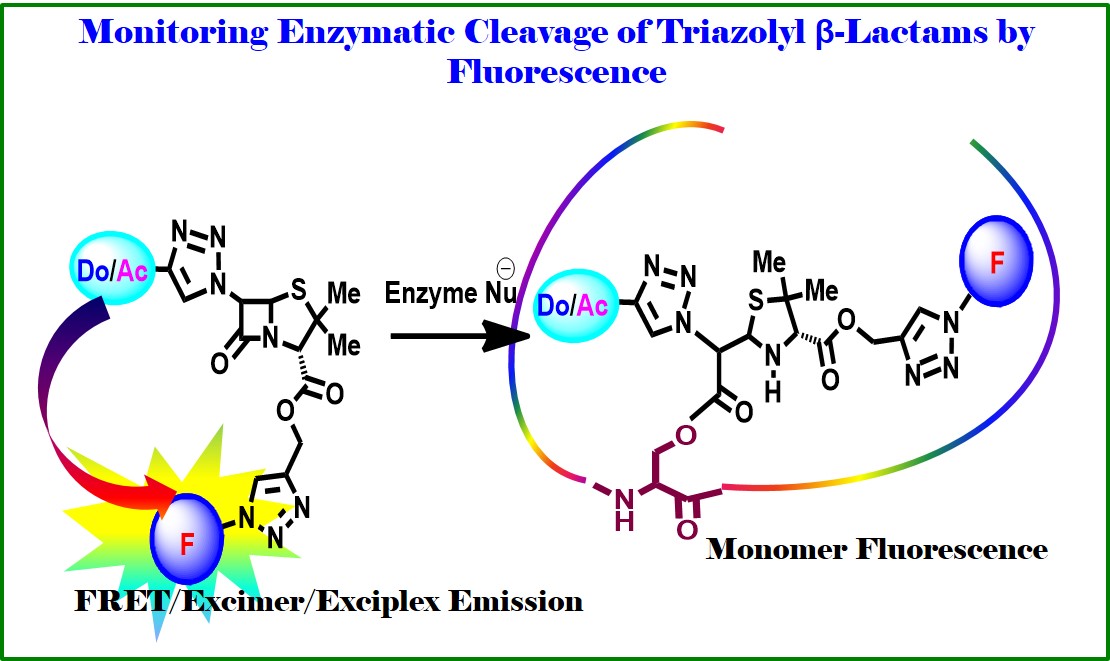 β-Lactam Research