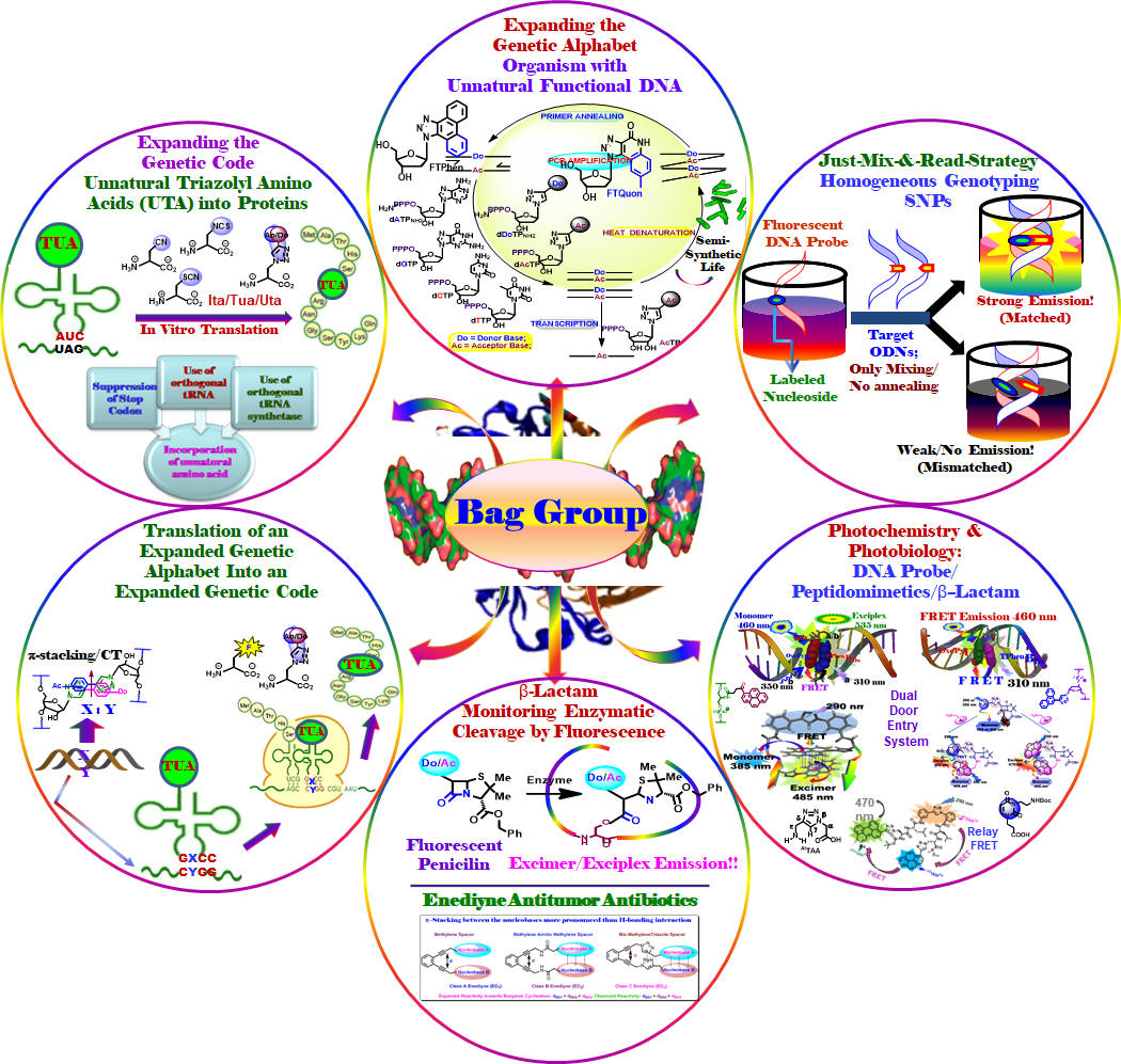 The Bag Group research overview